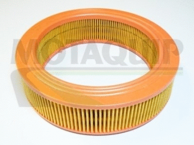 Air Filter (VFA176)