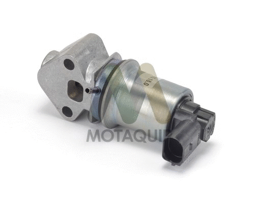 EGR Valve (LVER335)