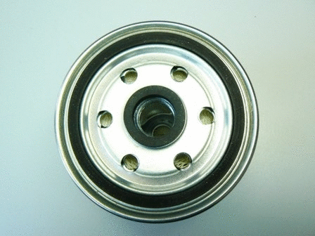 Fuel Filter (VFF179)