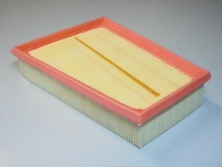 Air Filter (VFA1089)