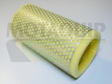 Air Filter (VFA265)