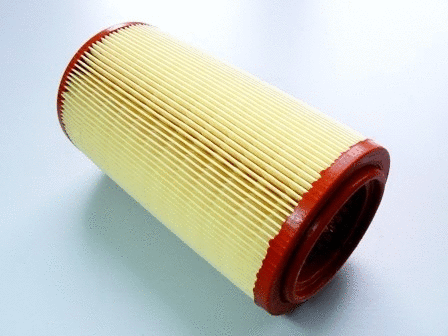 Air Filter (VFA862)