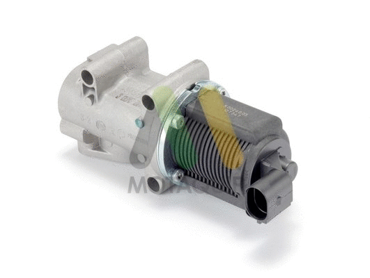 EGR Valve (LVER207)
