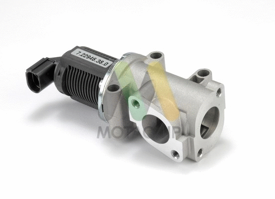 EGR Valve (LVER193)