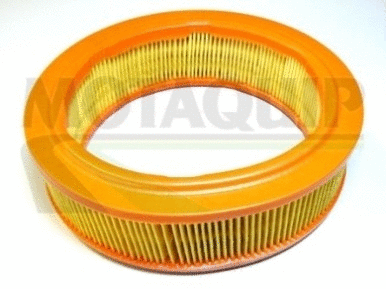 Air Filter (VFA253)