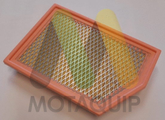 Air Filter (LVFA1593)