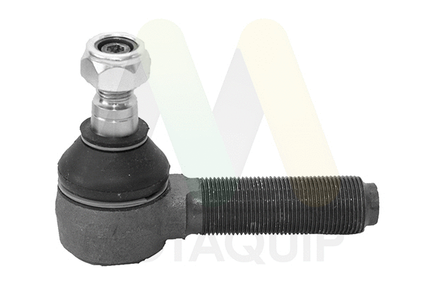 Tie Rod End (LVTR4001T)