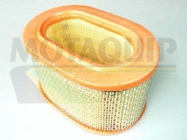Air Filter (VFA602)