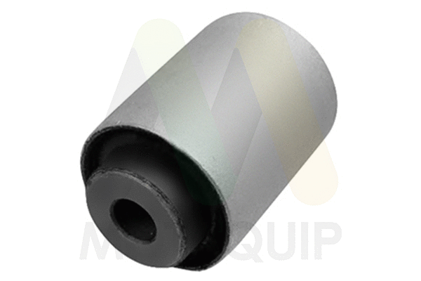 Mounting, control/trailing arm (LVSK999)