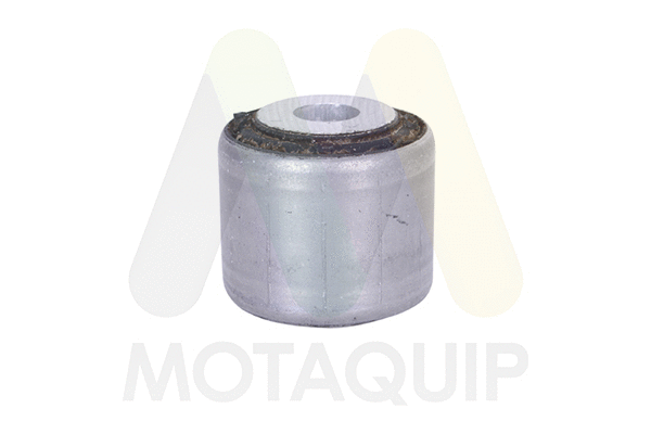 Mounting, control/trailing arm (LVSK1193)