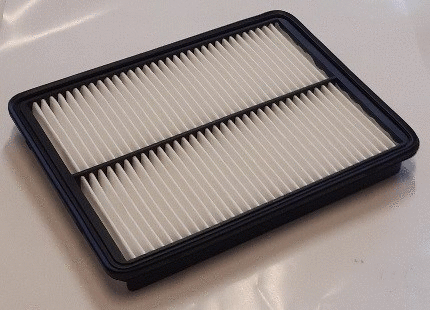 Air Filter (LVFA1648)