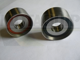 Timing Belt Kit (LVTT311)