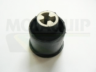 Bushing, axle beam (VSK664)