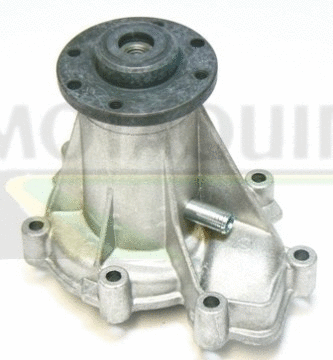Water Pump, engine cooling (VWP322)