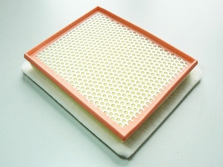 Air Filter (VFA1114)