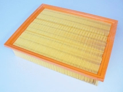 Air Filter (VFA923)
