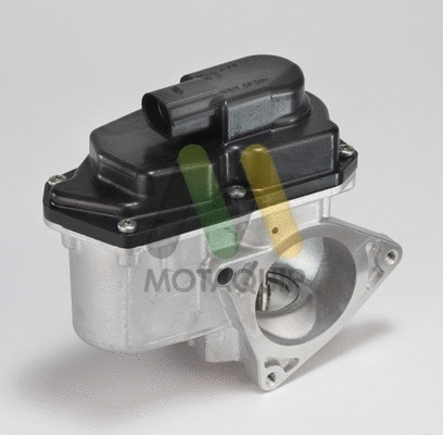 EGR Valve (LVER317)