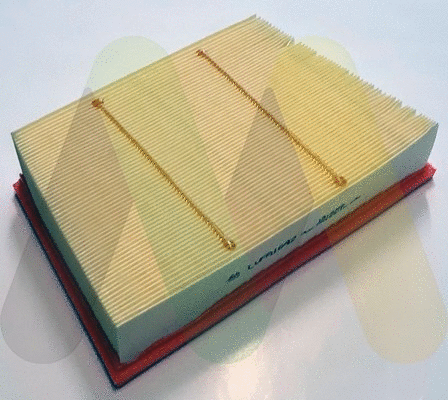 Air Filter (LVFA1642)