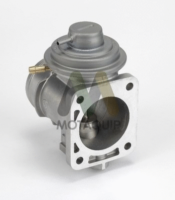 EGR Valve (LVER189)