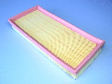 Air Filter (VFA928)