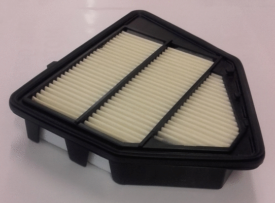 Air Filter (LVFA1591)