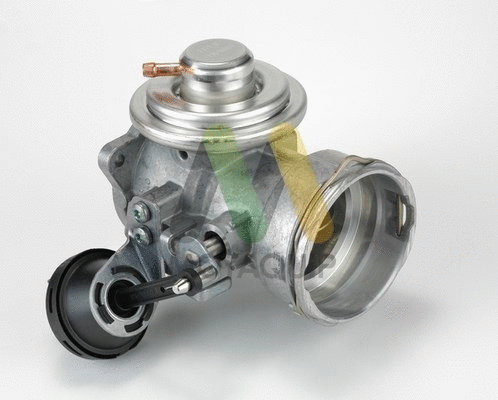 EGR Valve (LVER253)