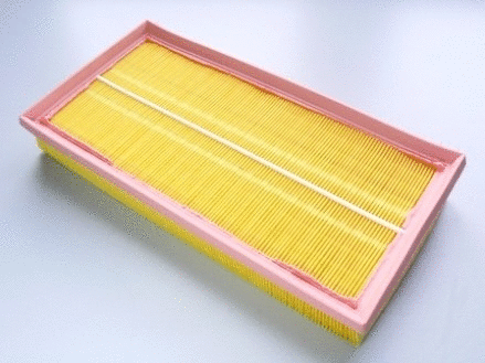 Air Filter (VFA831)