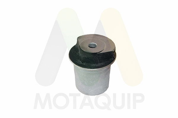 Bushing, axle beam (LVSK1266)