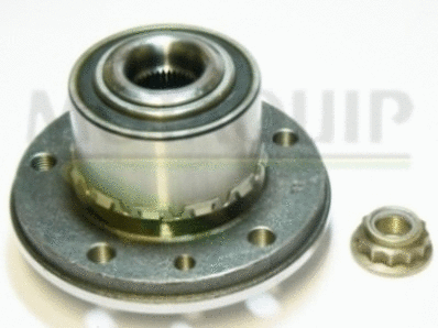 Wheel Bearing Kit (VBK1202)