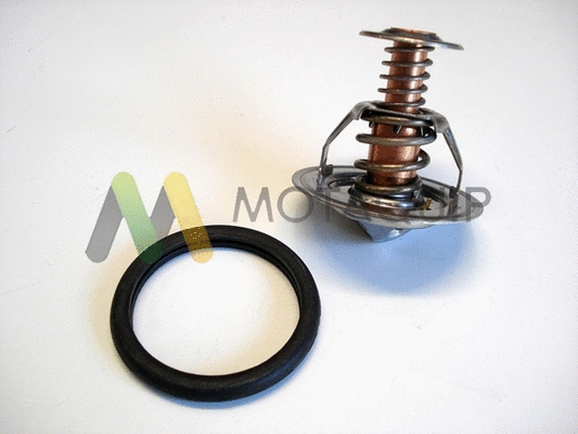 Thermostat, coolant (LVTK213)
