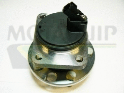 Wheel Bearing Kit (VBK1019)
