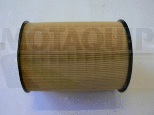 Air Filter (VFA1244)