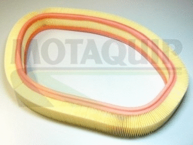 Air Filter (VFA594)
