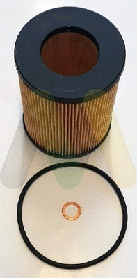 Oil Filter (VFL385)