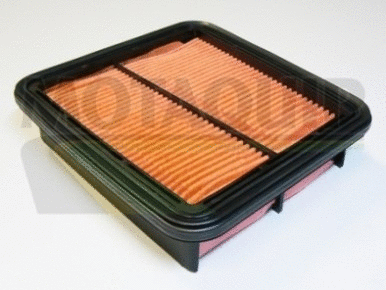 Air Filter (VFA690)