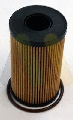 Oil Filter (LVFL850)