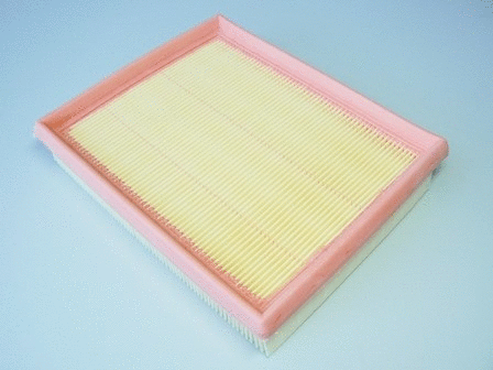 Air Filter (VFA889)
