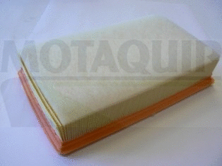 Air Filter (VFA1236)
