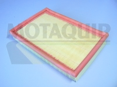 Air Filter (VFA565)