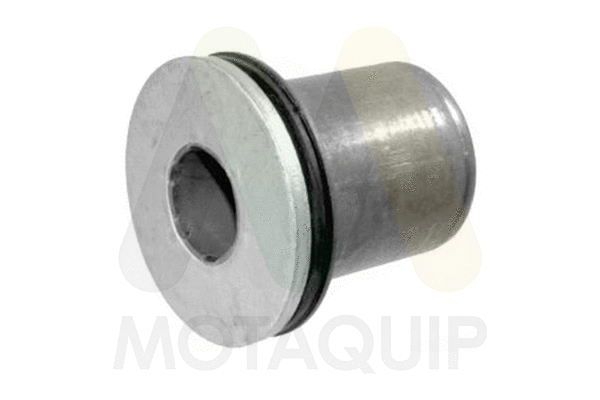 Mounting, control/trailing arm (LVSK828)