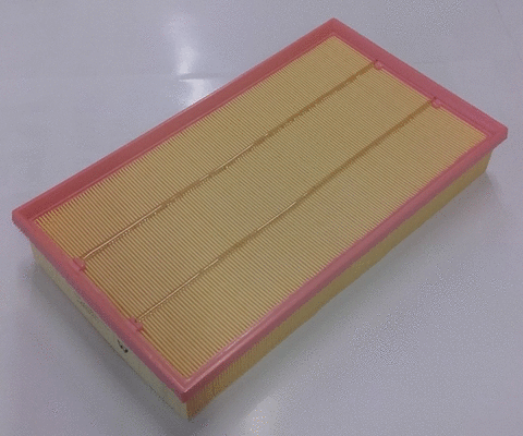 Air Filter (LVFA1594)