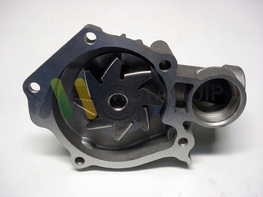 Water Pump, engine cooling (LVWP991)
