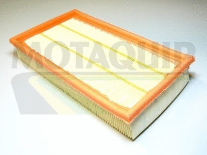 Air Filter (VFA666)