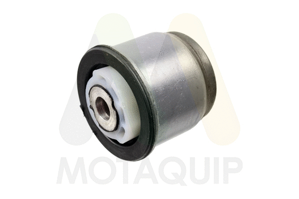 Bushing, axle beam (LVSK1344)