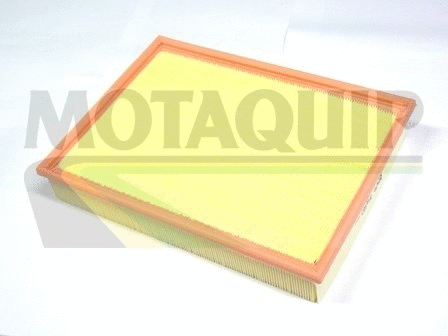 Air Filter (VFA1187)