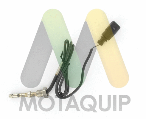 Sensor, exhaust gas temperature (LVET263)