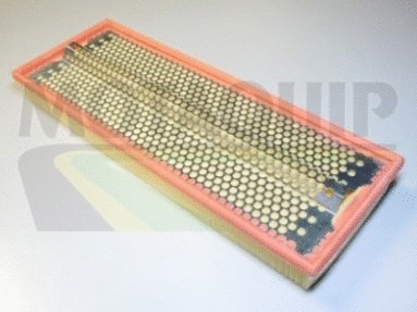 Air Filter (VFA637)