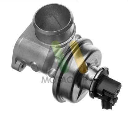 EGR Valve (LVER103)