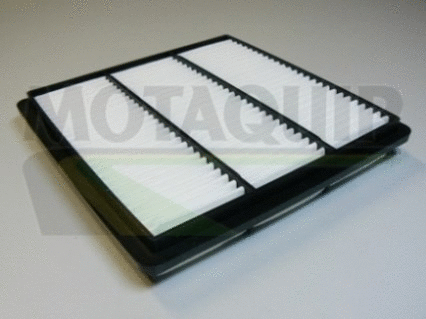 Air Filter (VFA783)