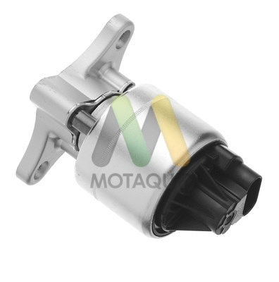 EGR Valve (LVER170)